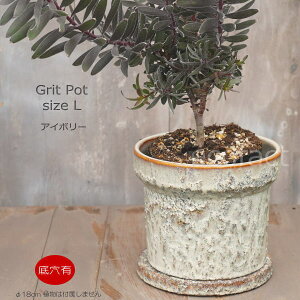 Aؔ  픫 t[|bg ~j|bg ꌊ Grit L AC{[ 18cm v^[ | ϗtA I[W[vc