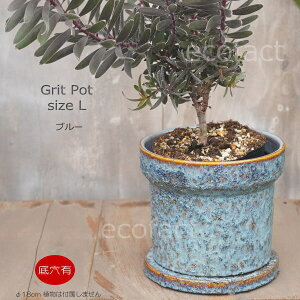 Aؔ  픫 t[|bg ~j|bg ꌊ Grit L u[ 18cm v^[ | ϗtA I[W[vc