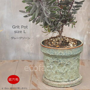 Aؔ  픫 t[|bg ~j|bg ꌊ Grit L OCO[ 12cm v^[ | ϗtA I[W[vc