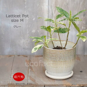 Aؔ  픫 t[|bg ~j|bg ꌊ Lattice M OC 14cm v^[ | ϗtA I[W[vc