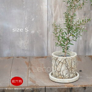 Aؔ  Zg t[|bg ~j|bg ꌊ bVS 10cm v^[ | ϗtA I[W[vc