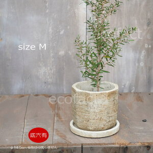 Aؔ  Zg t[|bg ~j|bg ꌊ miSM 11cm v^[ | ϗtA I[W[vc