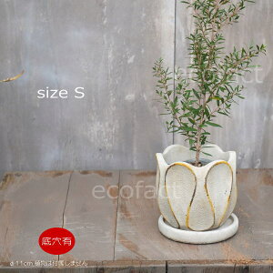 Aؔ  Zg t[|bg ~j|bg ꌊ [vS 11cm v^[ | ϗtA I[W[vc