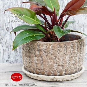 |bg  Aؔ v^[   27cm X|bc{E XgL AbVOC t[x[X ԕr K[fjO |