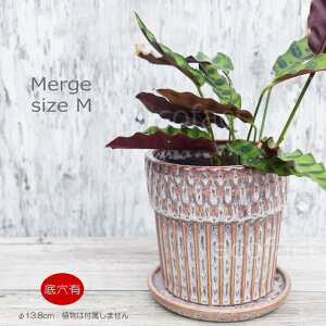 |bg  Aؔ v^[   13.8cm Merge MO[ t[x[X ԕr K[fjO |