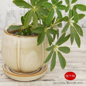 Aؔ  픫 t[|bg ~j|bg ꌊ oY|bgSS N[ 8cm v^[ | ϗtA A MѐA