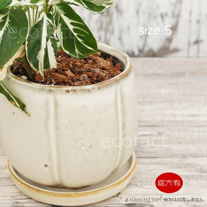 Aؔ  픫 t[|bg ~j|bg ꌊ oY|bgS N[ 10cm v^[ | ϗtA A MѐA