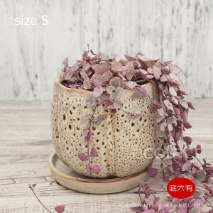 Aؔ  픫 t[|bg ~j|bg ꌊ oY|bgS OC 10cm v^[ | ϗtA A MѐA