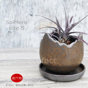 |bg  Aؔ v^[   12cm Solmero S uY t[x[X ԕr K[fjO |