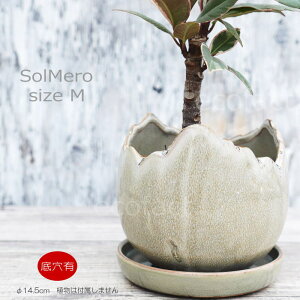 |bg  Aؔ v^[   14.5cm Solmero M O[ t[x[X ԕr K[fjO |