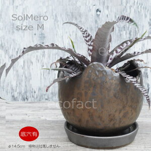 ポット 鉢 植木鉢 プランター おしゃれ 陶器 φ14.5cm Solmero M ブロンズ フラワーベース 花瓶 ガーデニング 園芸