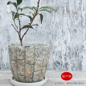 植木鉢 おしゃれ セメント鉢 フラワーポット ミニポット 底穴ありバルクL φ16.5cm プランター 園芸鉢 観葉植物 オージープランツ