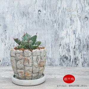 Aؔ  Zg t[|bg ~j|bg ꌊoNS 11.5cm v^[ | ϗtA I[W[vc