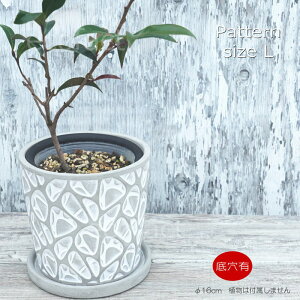 Aؔ  Zg t[|bg ~j|bg ꌊp^[L 16cm v^[ | ϗtA I[W[vc