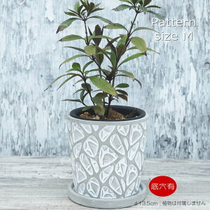 Aؔ  Zg t[|bg ~j|bg ꌊp^[M 13.5cm v^[ | ϗtA I[W[vc