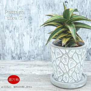 Aؔ  Zg t[|bg ~j|bg ꌊp^[S 10.5cm v^[ | ϗtA I[W[vc