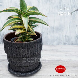 |bg  Aؔ v^[  픫 Sol Line M 12.5cm O[ t[x[X ԕr K[fjO |