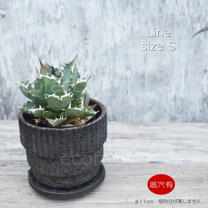 |bg  Aؔ v^[  픫 Sol Line S 11cm O[ t[x[X ԕr K[fjO |