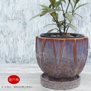 |bg  Aؔ v^[  픫 Sol Cliff L 14.5i12.5)cm O[^p[v t[x[X ԕr K[fjO |