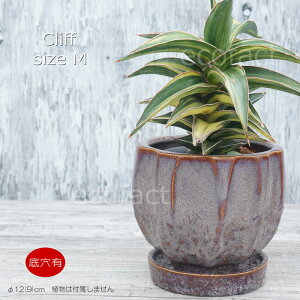 |bg  Aؔ v^[  픫 Sol Cliff M 12i9)cm O[^p[v t[x[X ԕr K[fjO |