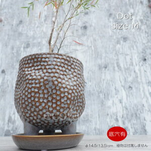 |bg  Aؔ v^[  픫 Sol Dot M 14.5i13.5)cm O[ t[x[X ԕr K[fjO |