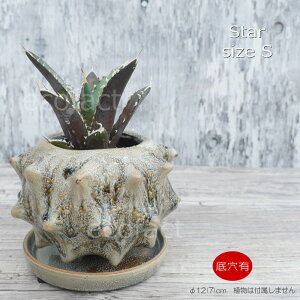 |bg  Aؔ v^[  픫 Sol Star S 12i7)cm O[ t[x[X ԕr K[fjO |