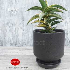 |bg  Aؔ v^[  픫 Sol Calm 11cm ubN t[x[X ԕr K[fjO |