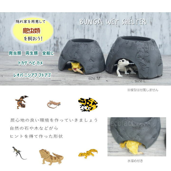楽天市場】爬虫類 ウェット シェルター レオパ ブラック Lサイズ 黒無 ...