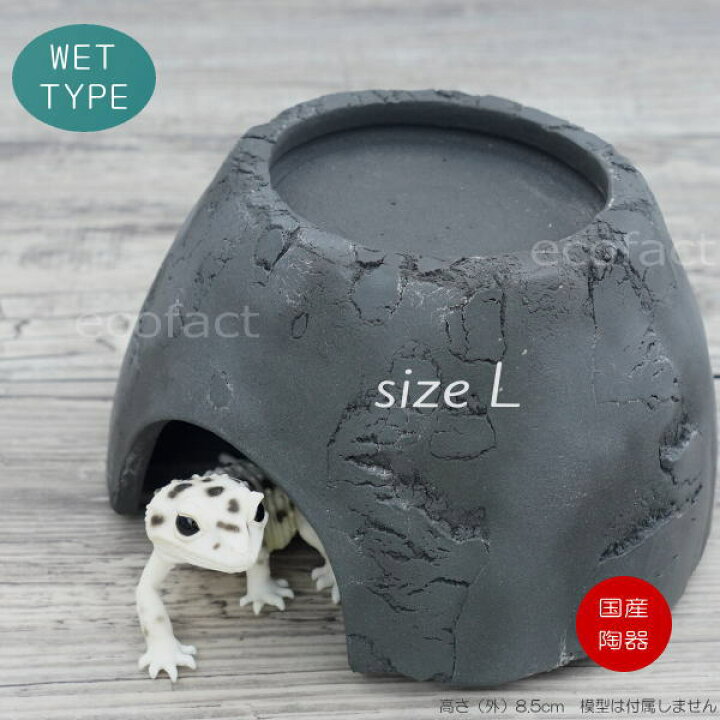 楽天市場】爬虫類 ウェット シェルター レオパ ブラック Lサイズ 黒無 ...