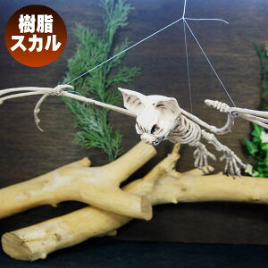 tCO{[obg IuWF@Ǌ|@I[ig