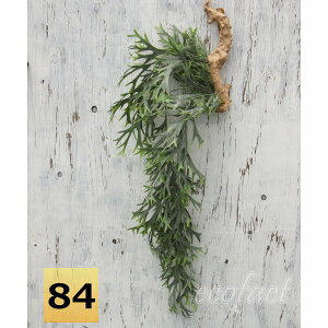 観葉植物 コウモリラン ハンギングの人気商品 通販 価格比較 価格 Com