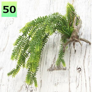 tFCNO[ nMO ^ Ǌ| AWg{ityWAj  ubV lHϗtA  EH[A[g  ǖʗΉ pl {[h A[gt[ AW