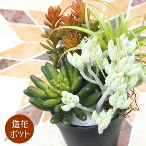 tFCNO[ AW|bgin5j |bg ^ lHϗtA  EH[A[g  ǖʗΉ pl {[h A[gt[ AWg 