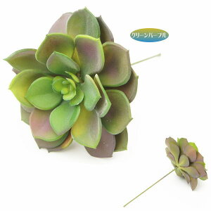 GPxAiO[/p[v) AsbN@tFCNO[ AW lHϗtA  EH[A[g  ǖʗΉ pl Ǌ|