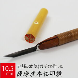 yGg[Ń|Cg10{z ͂ s FY{ P[X  F l nR d E 10.5mm×60mm 10Nۏ