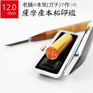 yGg[Ń|Cg10{z ͂ s FY{ P[X  F l nR d E 12.0mm×60mm 10Nۏ