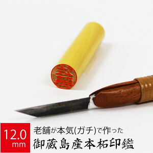 yGg[Ń|Cg10{z ͂ s 䑠Y{ P[X  F l nR d E 12.0mm×60mm 10Nۏ