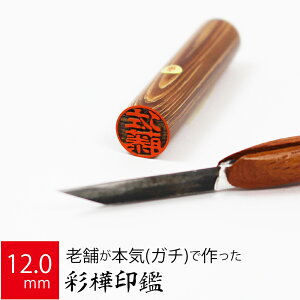 yGg[Ń|Cg10{z ͂ s ʊ P[X  F l nR d E 12.0mm×60mm 10Nۏ