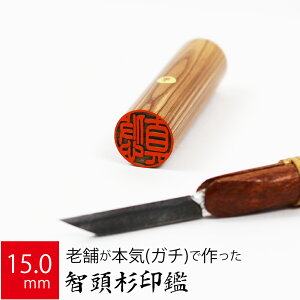 yGg[Ń|Cg10{z ͂ s q P[X  F l nR d E 15.0mm×60mm 10Nۏ