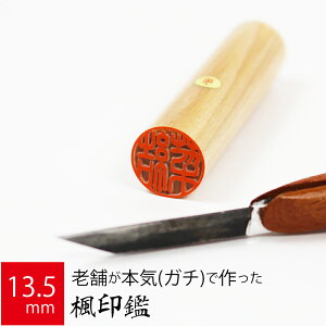 yGg[Ń|Cg10{z ͂ s  P[X  F l nR d E 13.5mm×60mm 10Nۏ