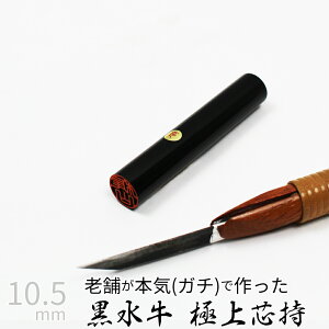 yGg[Ń|Cg10{z ͂ s  P[X ʎF  F l nR d E 10.5mm 10Nۏ