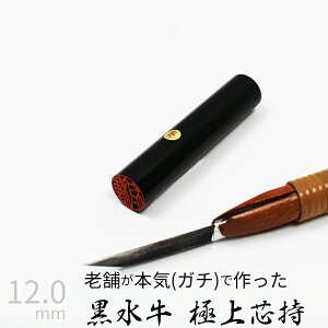 yGg[Ń|Cg10{z ͂ s  P[X ʎF  F l nR d E 12mm 10Nۏ