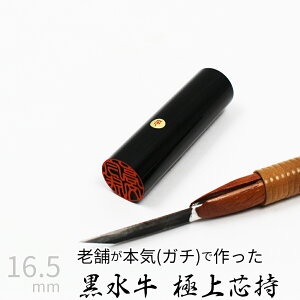 yGg[Ń|Cg10{z ͂ s  P[X ʎF  F l nR d E 16.5mm 10Nۏ
