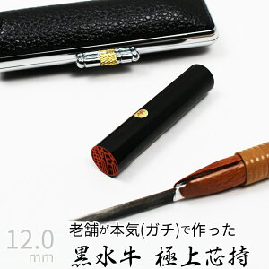 yGg[Ń|Cg10{z ͂ s  P[X ʎF  F l nR d E 12mm 10Nۏ