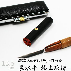 yGg[Ń|Cg10{z ͂ s  P[X ʎF  F l nR d E 13.5mm 10Nۏ