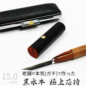 yGg[Ń|Cg10{z ͂ s  P[X ʎF  F l nR d E 15mm 10Nۏ