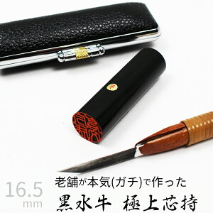 yGg[Ń|Cg10{z ͂ s  P[X ʎF  F l nR d E 16.5mm 10Nۏ