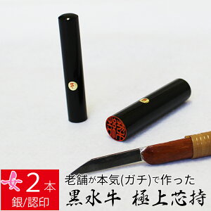 yGg[Ń|Cg10{z ͂ s  2{Zbg P[X ʎF  F l nR d E 10.5mm 13.5mm 10Nۏ