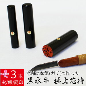 yGg[Ń|Cg10{z ͂ s  3{Zbg P[X ʎF  F l nR d E 10.5mm 13.5mm 16.5mm 10Nۏ