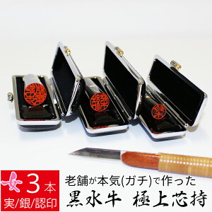 yGg[Ń|Cg10{z ͂ s  3{Zbg P[X ʎF  F l nR d E 10.5mm 13.5mm 16.5mm 10Nۏ